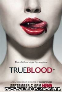 Настоящая кровь / True Blood (2008)
