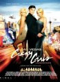 Безумные девчонки-агенты / Crazy Girls Undercover (2008)