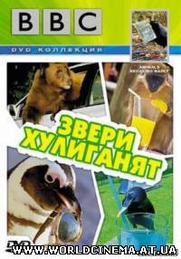 Звери хулиганят / Animals Behaving Badly (2004)