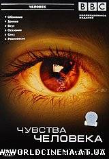 Чувства человека / Зрение и осязание (2003)
