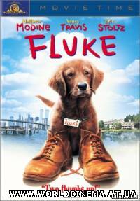 Флюк / Fluke (1995) DVDRip