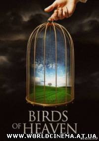 Райские птицы / Birds of Heaven (2008) DVDRip