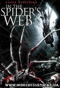 В паучьих сетях Паутина зла / In the spider's Web (2007)