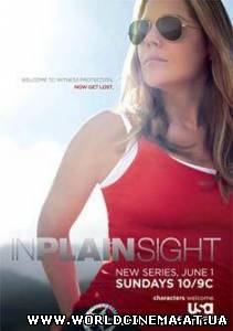 На Виду / In Plain Sight (2008)